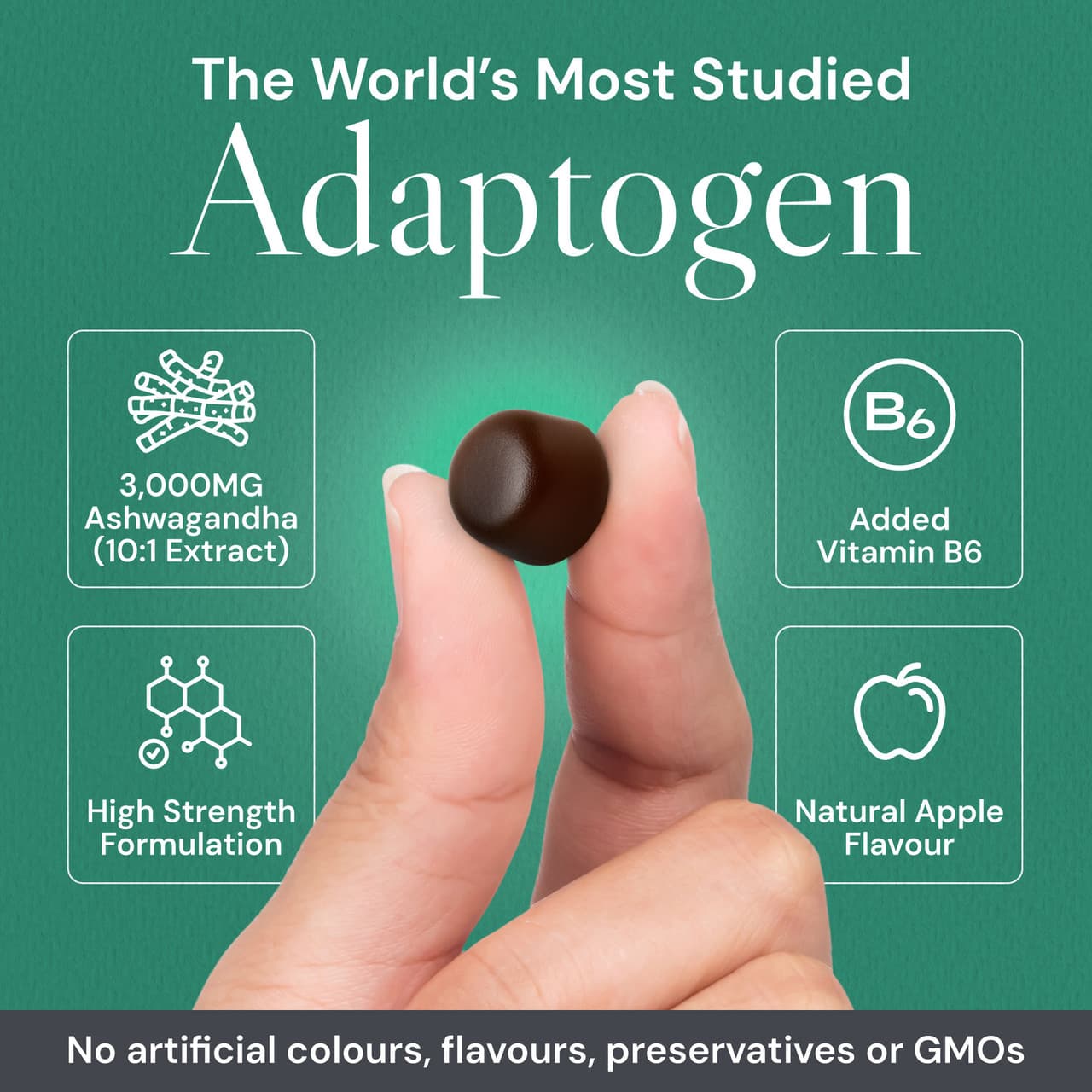 Known Nutrition Ashwagandha 60 Gummies Image https://cdn11.bigcommerce.com/s-g585yu857h/images/stencil/1280w/products/16263/31466/B0BF5L2Y3T.PT02__53992.1779291575.jpg1