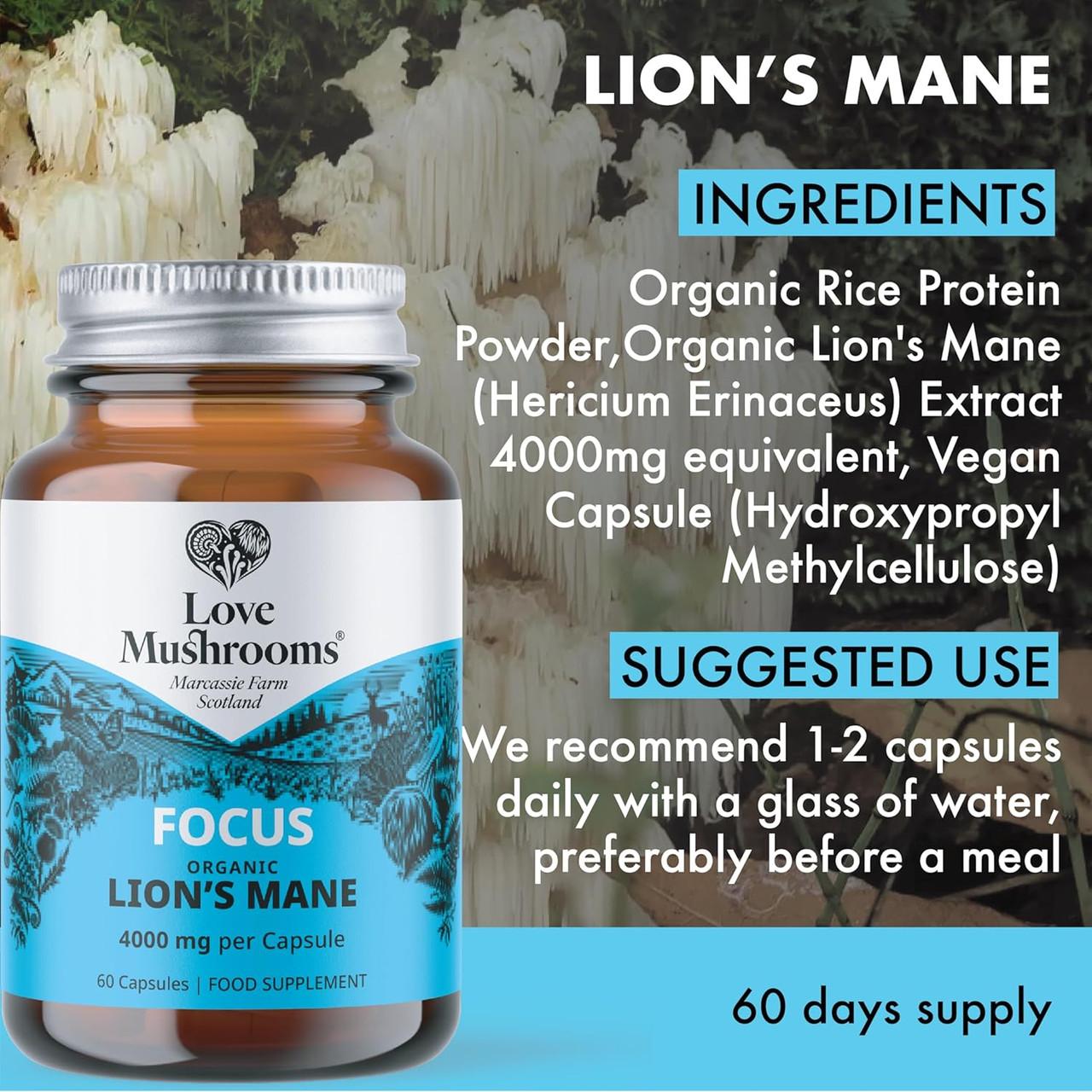 lion's mane and semaglutide Love Mushrooms Focus Lion's Mane 4000mg Focus 60 Capsules