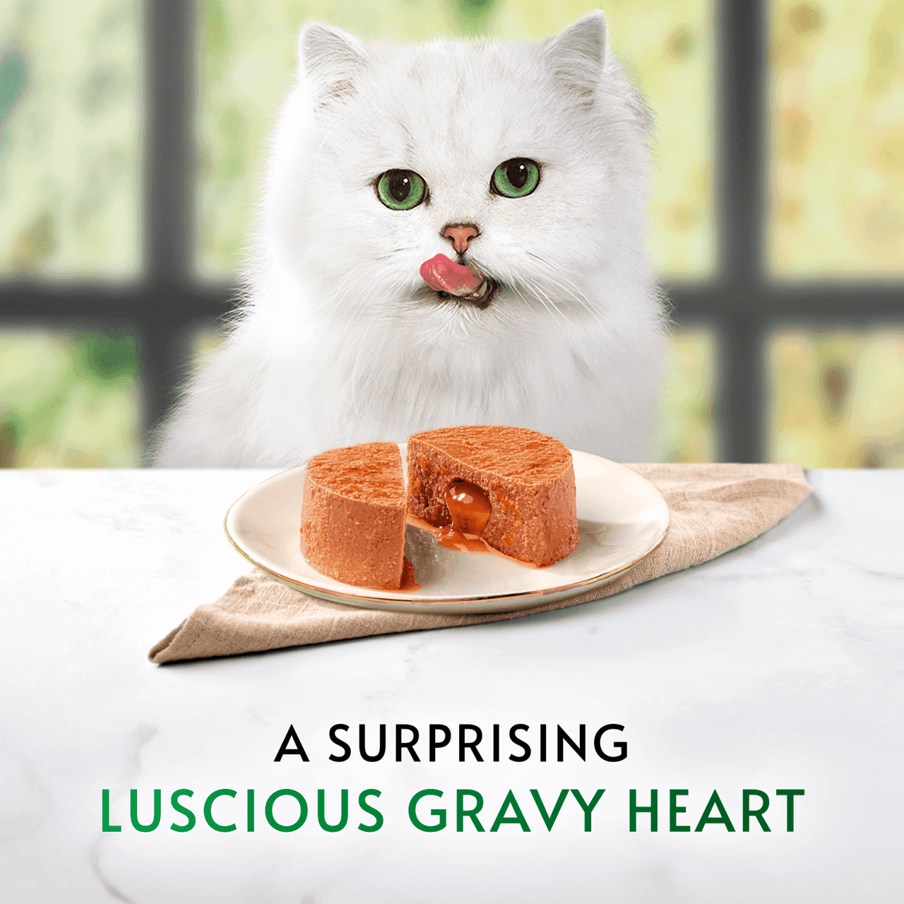 Gourmet Nature's Creations Mousse Chicken and Fish in Gravy Wet Cat Food 8x85g Image https://cdn11.bigcommerce.com/s-g585yu857h/images/stencil/1280w/products/17498/36533/8445290985446_T60__22057.1786016075.png1