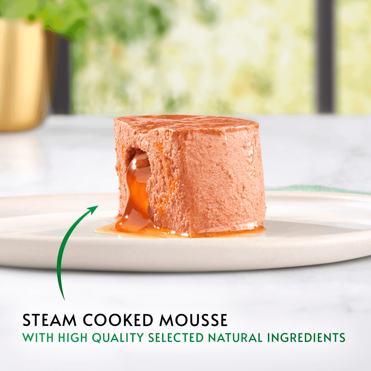 Gourmet Nature's Creations Mousse Chicken and Fish in Gravy Wet Cat Food 8x85g Image https://cdn11.bigcommerce.com/s-g585yu857h/images/stencil/1280w/products/17498/36534/8445290985446_T61__31447.1786016075.png1