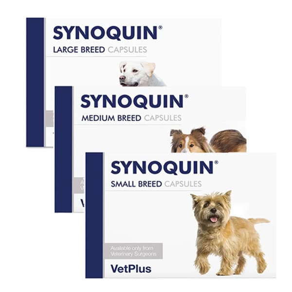 Synoquin Joint Supplement Capsules for Dogs Image https://cdn11.bigcommerce.com/s-g585yu857h/images/stencil/1280w/products/17838/40494/Synoquin_Joint_Supplement_Capsules_for_Dogs_Group_-_155933__48529.1791378634.jpg1