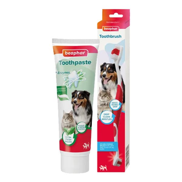 Beaphar Toothbrush and Toothpaste Bundle for Cats and Dogs Image 1