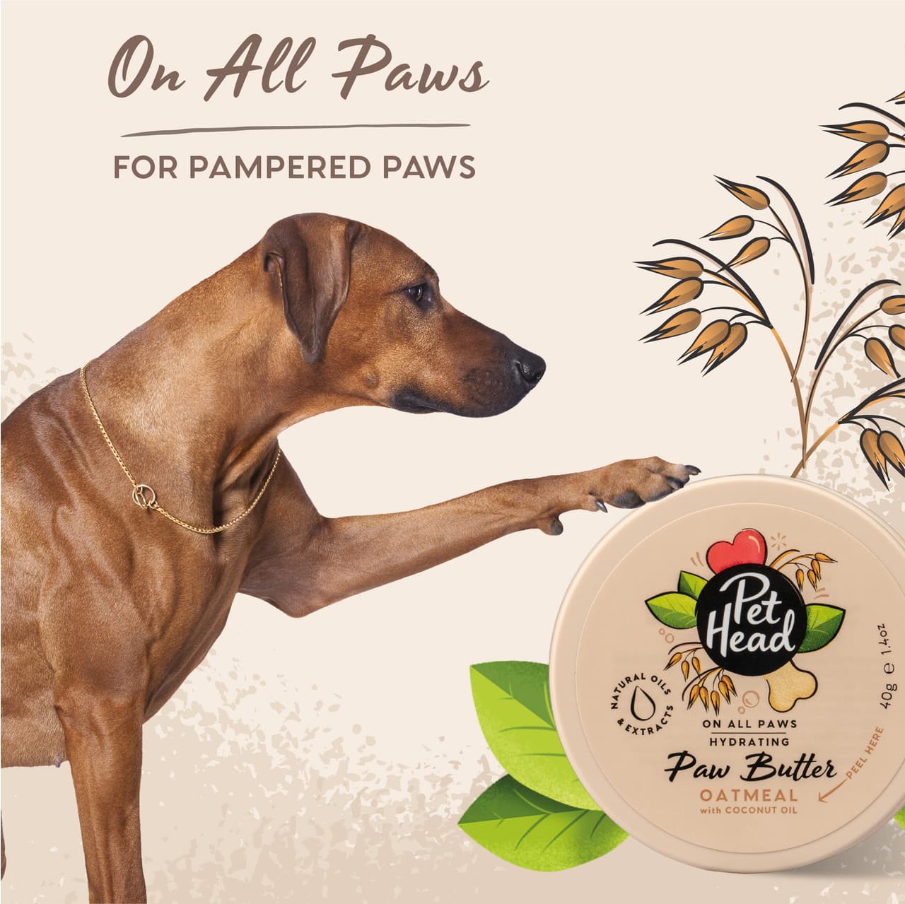 Pet Head On All Paws Oatmeal Dog Paw Butter 40g Image https://cdn11.bigcommerce.com/s-g585yu857h/images/stencil/1280w/products/18101/42325/Pet_Head-Grooming-Paw-Butter-Oatmeal_3__60793.1793200680.jpg1