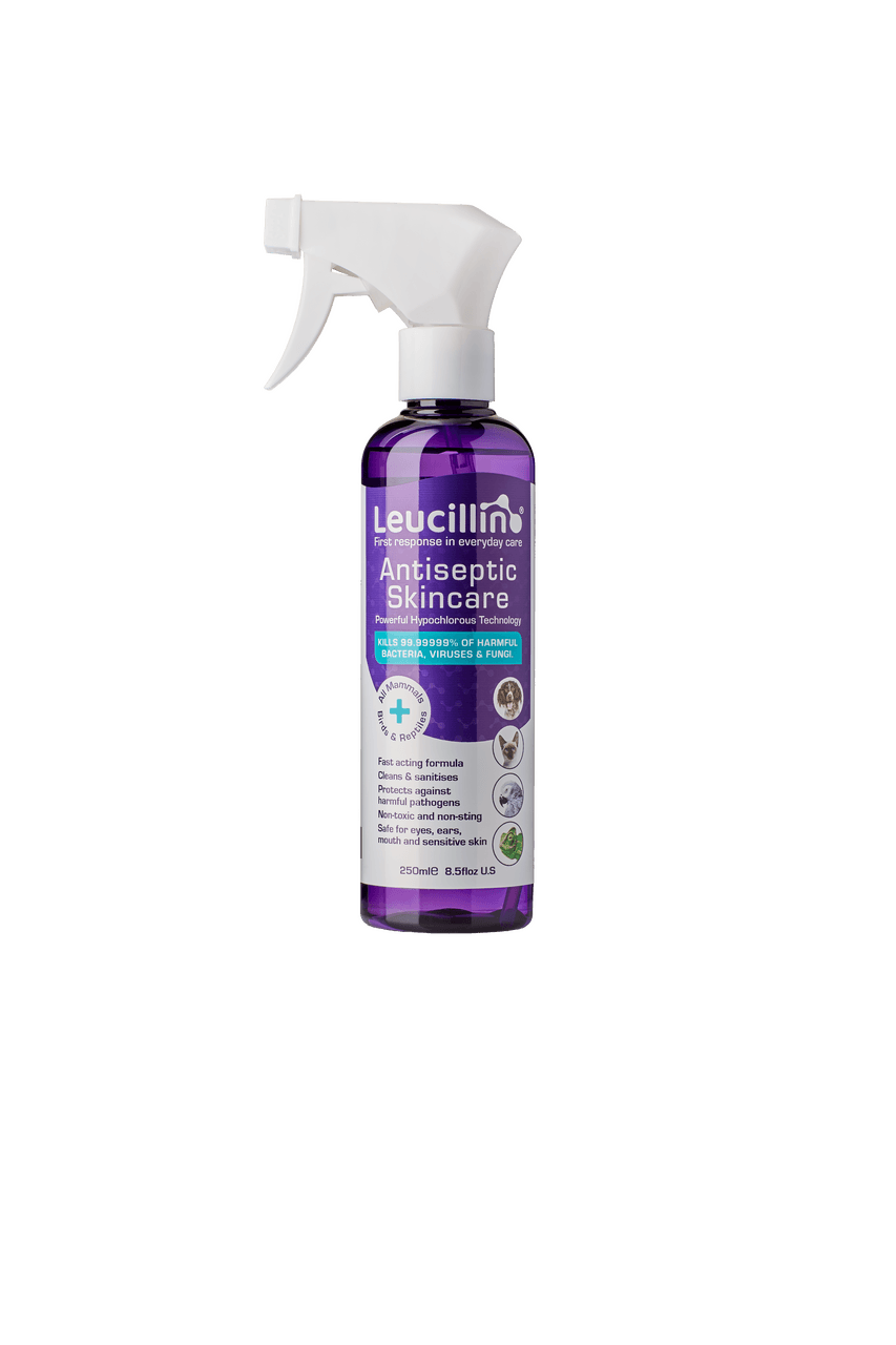 Leucillin Antiseptic Spray 250ml Image 1