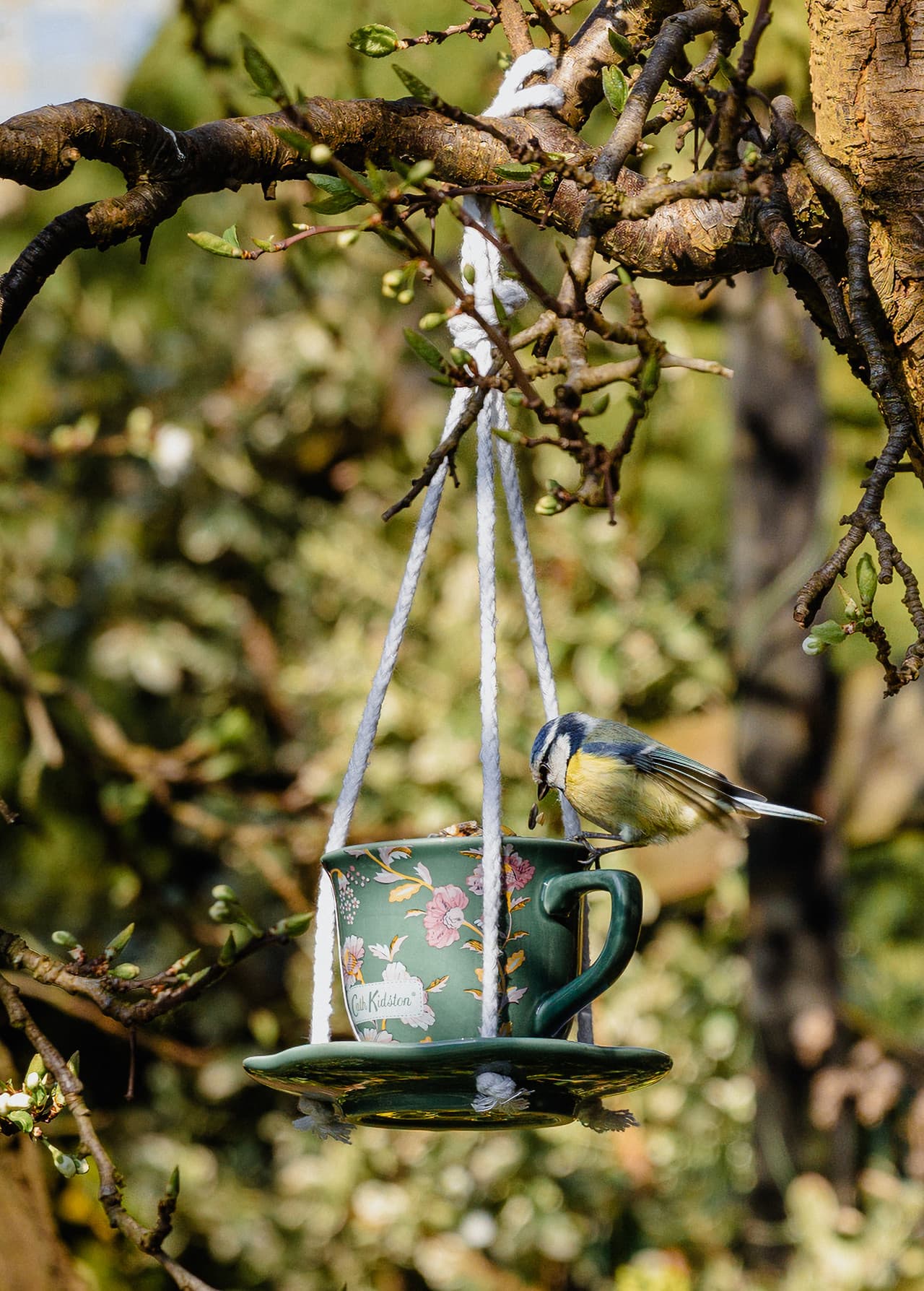Cath Kidston Green Floral Ceramic Teacup Feeder Image https://cdn11.bigcommerce.com/s-g585yu857h/images/stencil/1280w/products/18107/42284/0167943_5028804502846_3_Cath_Kidston_Friendship_Garden_Teacup_Feeder_4__64226.1793194595.jpg1