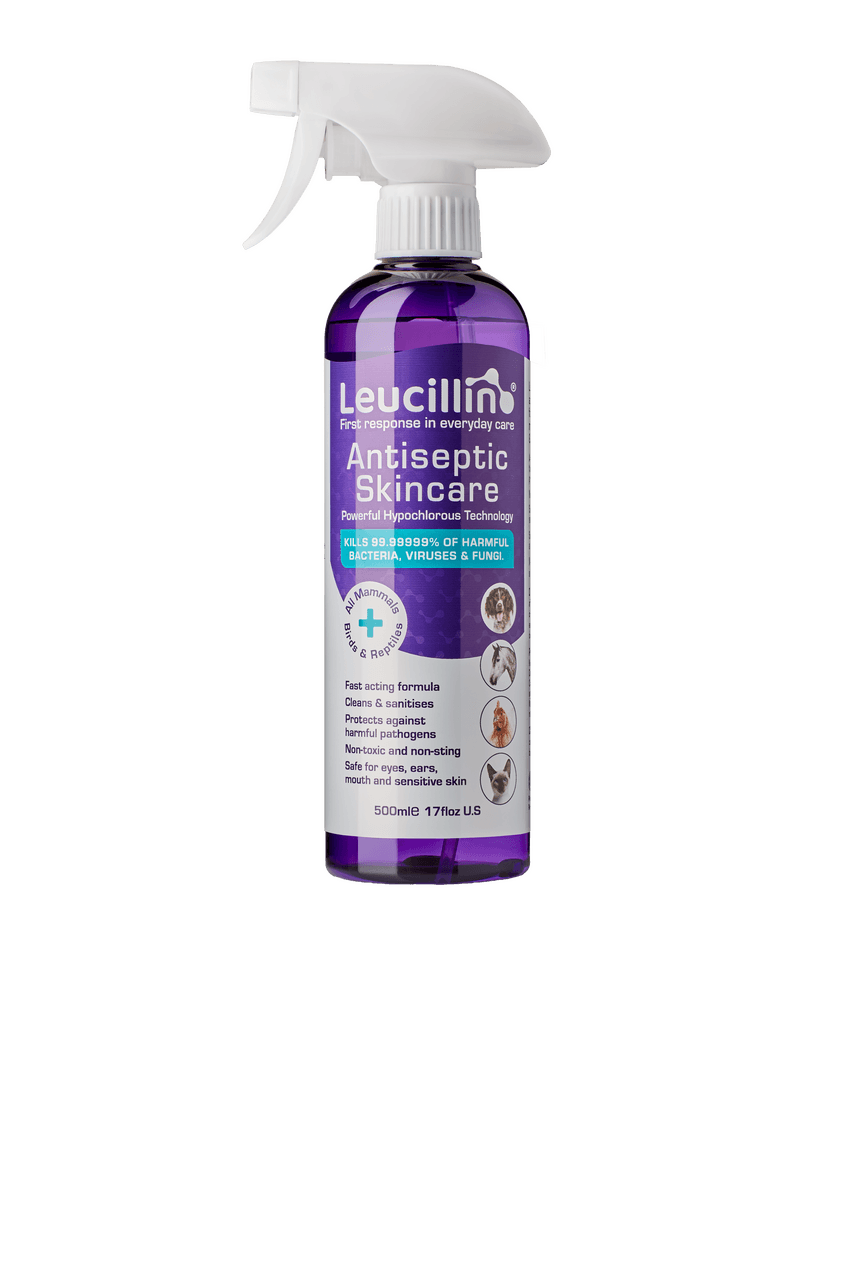 Leucillin Antiseptic Spray 500ml Image 1