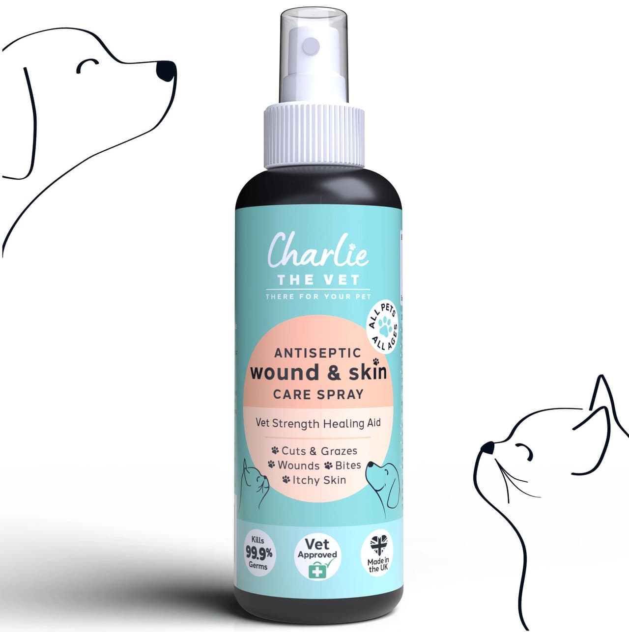 Charlie The Vet Antiseptic Wound & Skin Care Spray Image 1