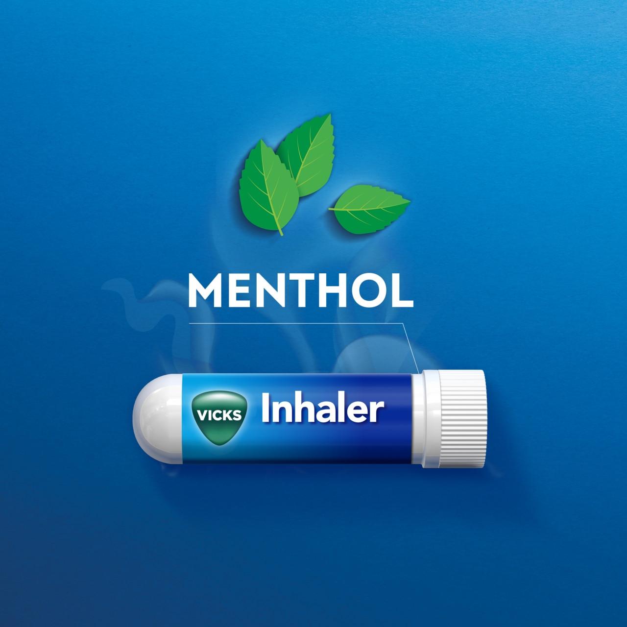 Vicks Inhaler Nasal Stick One Inhaler Image https://cdn11.bigcommerce.com/s-g585yu857h/images/stencil/1280w/products/2611/33351/8006540616048_T67___36883.1782998637.jpg1