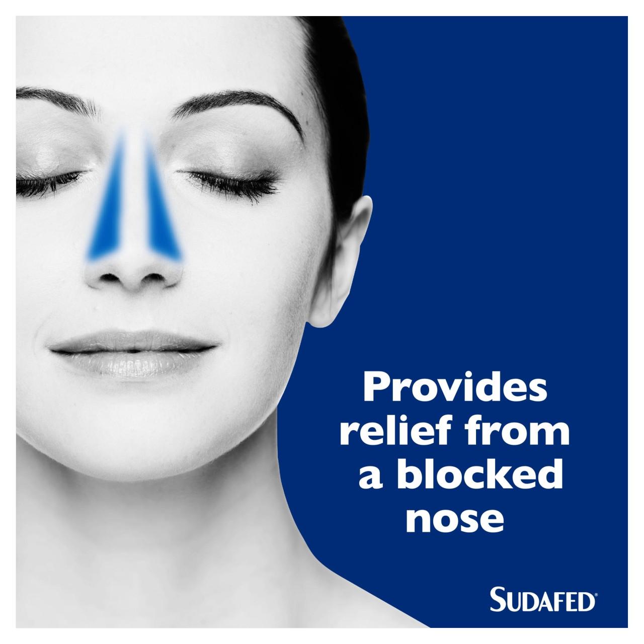 Sudafed Decongestant 12 Tablets Image https://cdn11.bigcommerce.com/s-g585yu857h/images/stencil/1280w/products/2631/38594/03574660606027_T63___04325.1788258603.jpg1