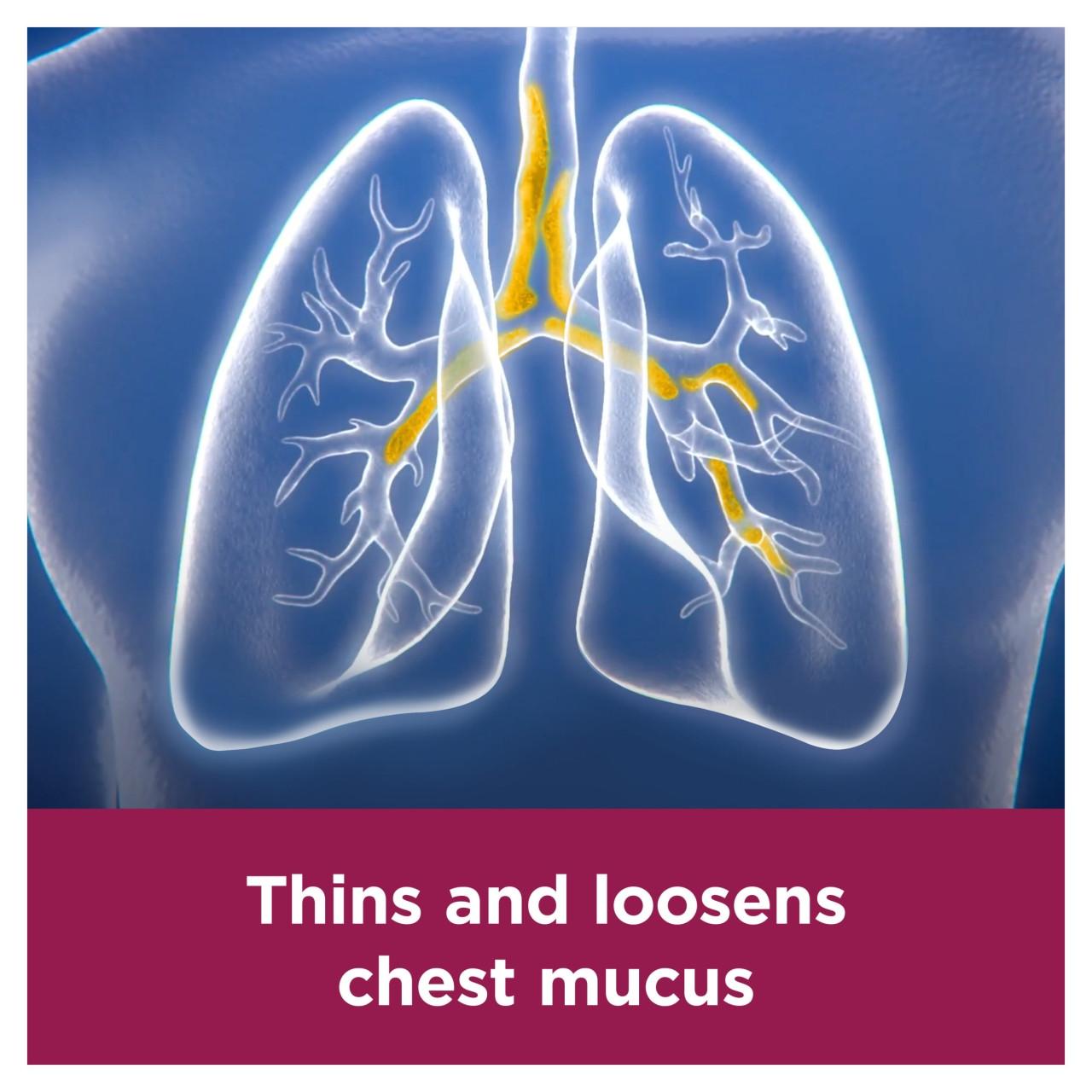 Benylin Mucus Cough Night 150ml Image https://cdn11.bigcommerce.com/s-g585yu857h/images/stencil/1280w/products/3024/33435/03574660496970_T65___47975.1783003178.jpg1
