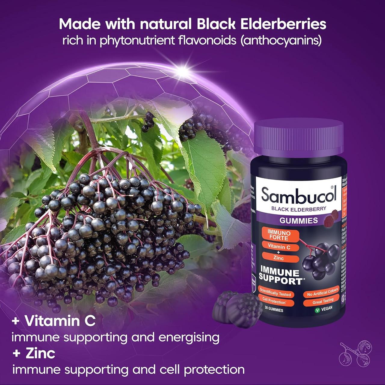 Sambucol Immuno Forte Black Elderberry Gummies 30 Pack Image https://cdn11.bigcommerce.com/s-g585yu857h/images/stencil/1280w/products/4300/38047/81UyPDwCB_L._AC_SL1500___03255.1787329759.jpg1