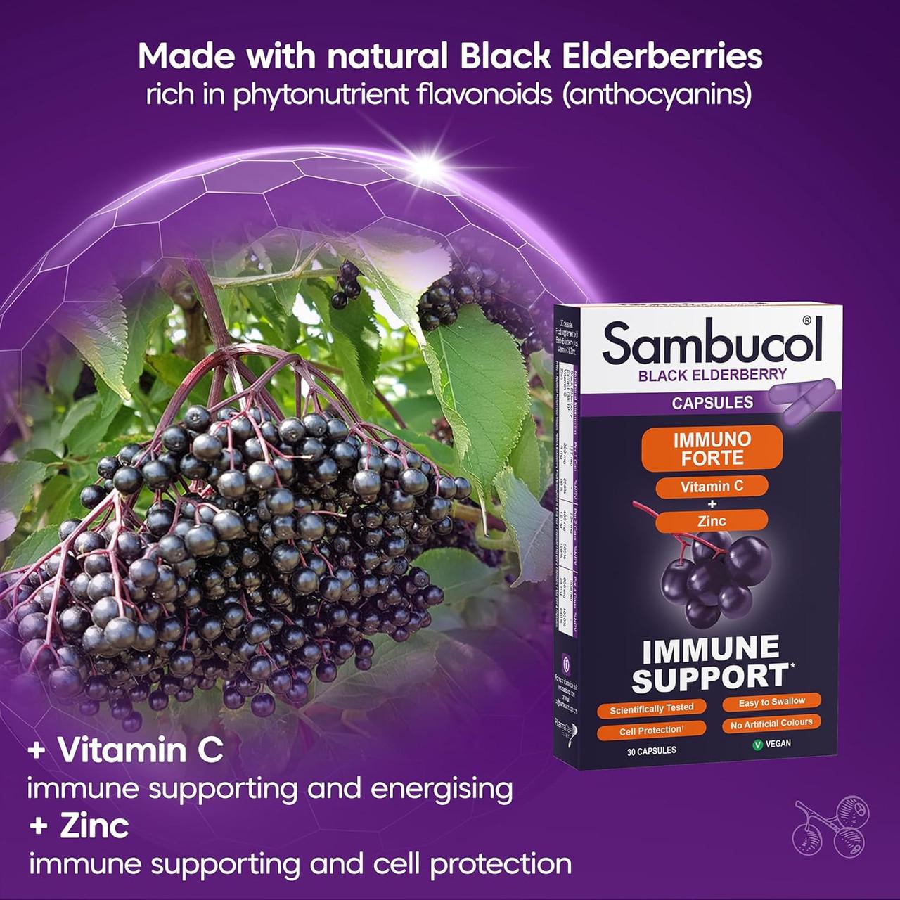 Sambucol Immuno Forte Black Elderberry Capsules 30 Capsules Image https://cdn11.bigcommerce.com/s-g585yu857h/images/stencil/1280w/products/4454/38053/811O3E-j2tL._AC_SL1500___84473.1787329812.jpg1