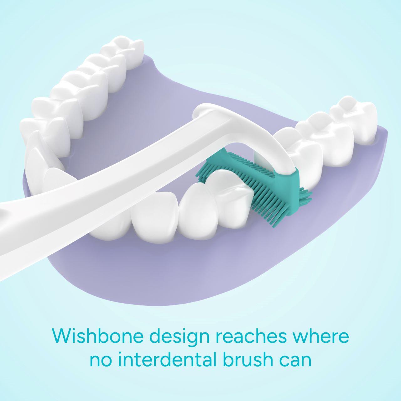 Ordo Denta Reach Brush Image https://cdn11.bigcommerce.com/s-g585yu857h/images/stencil/1280w/products/5574/10386/0156139B__48588.1782824239.jpg1