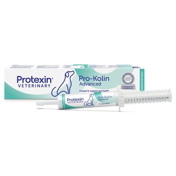 Protexin Pro Kolin Advanced Image https://cdn11.bigcommerce.com/s-g585yu857h/images/stencil/1280w/products/6935/26437/Protexin-Pro-Kolin-Advanced-Single-15ml-Syringe-for-Dogs__93258.1770217258.jpg1