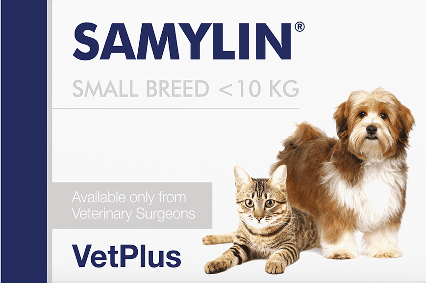 Samylin Tablets for Dogs and Cats Image https://cdn11.bigcommerce.com/s-g585yu857h/images/stencil/1280w/products/7080/12136/Samylin-Tablets-Small-Breed-Dogs-and-Cats-10kg-%28Pack-of-30%29__26491.1740141497.png1
