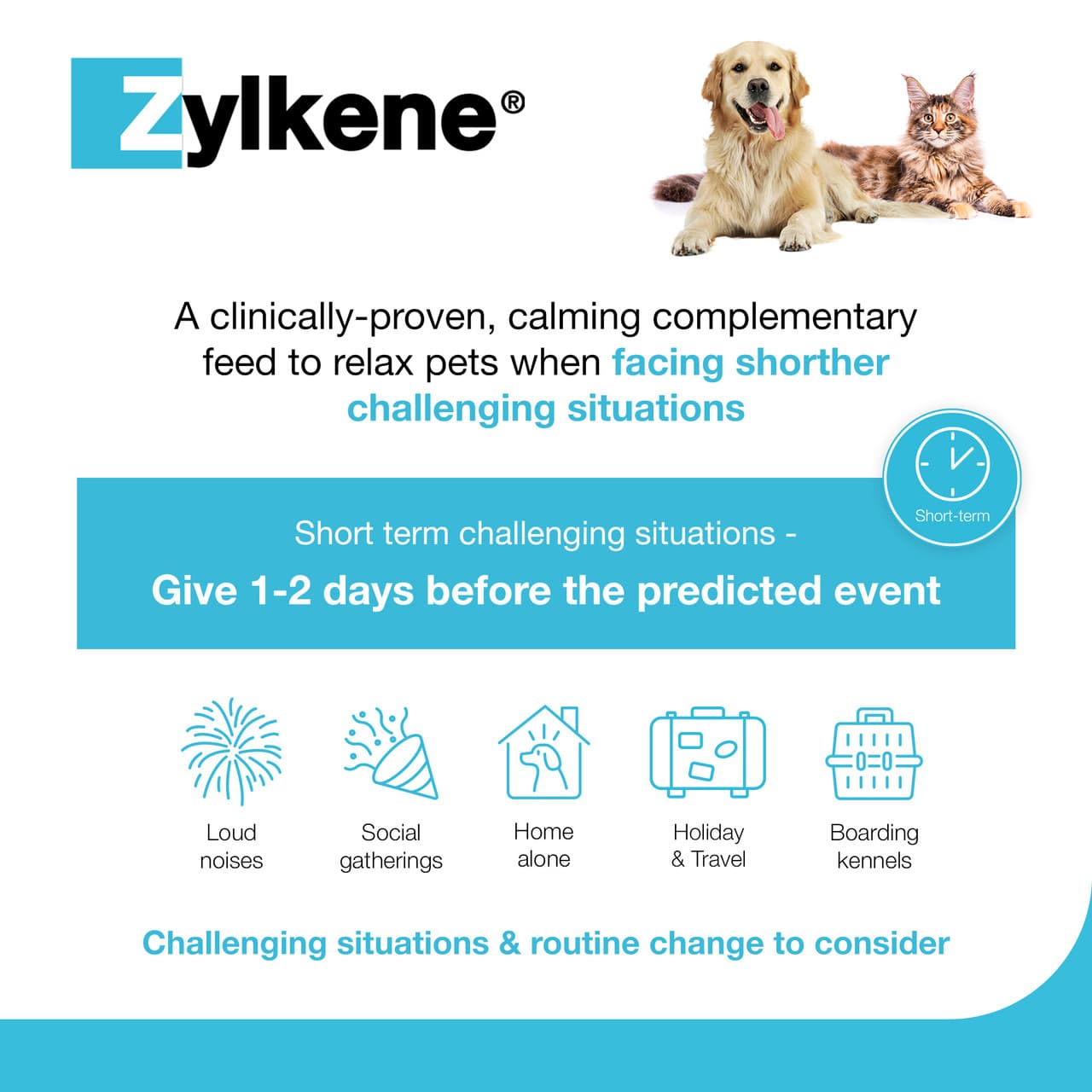 Zylkene Calming Capsules for Cats and Dogs Image https://cdn11.bigcommerce.com/s-g585yu857h/images/stencil/1280w/products/7102/33001/360587436175-04__55598.1781785100.jpg1