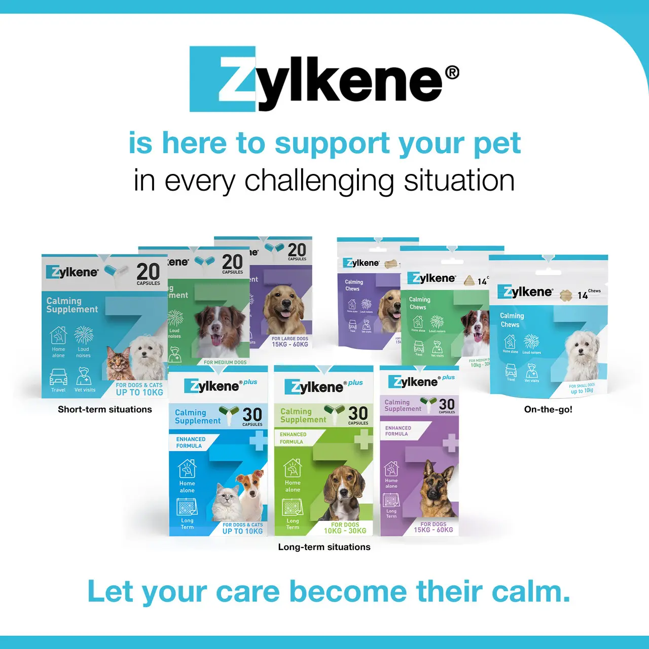 Zylkene Calming Capsules for Cats and Dogs Image https://cdn11.bigcommerce.com/s-g585yu857h/images/stencil/1280w/products/7102/33002/360587436175-05__03990.1781785100.jpg1