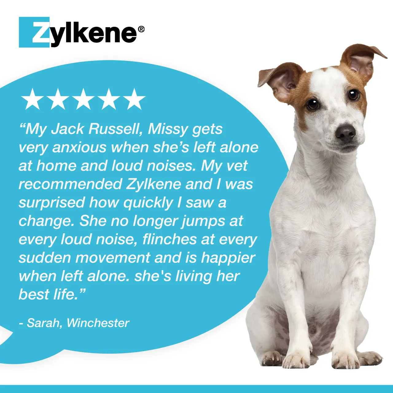Zylkene Calming Capsules for Cats and Dogs Image https://cdn11.bigcommerce.com/s-g585yu857h/images/stencil/1280w/products/7102/33003/3605874361751-03__49332.1781785100.jpg1