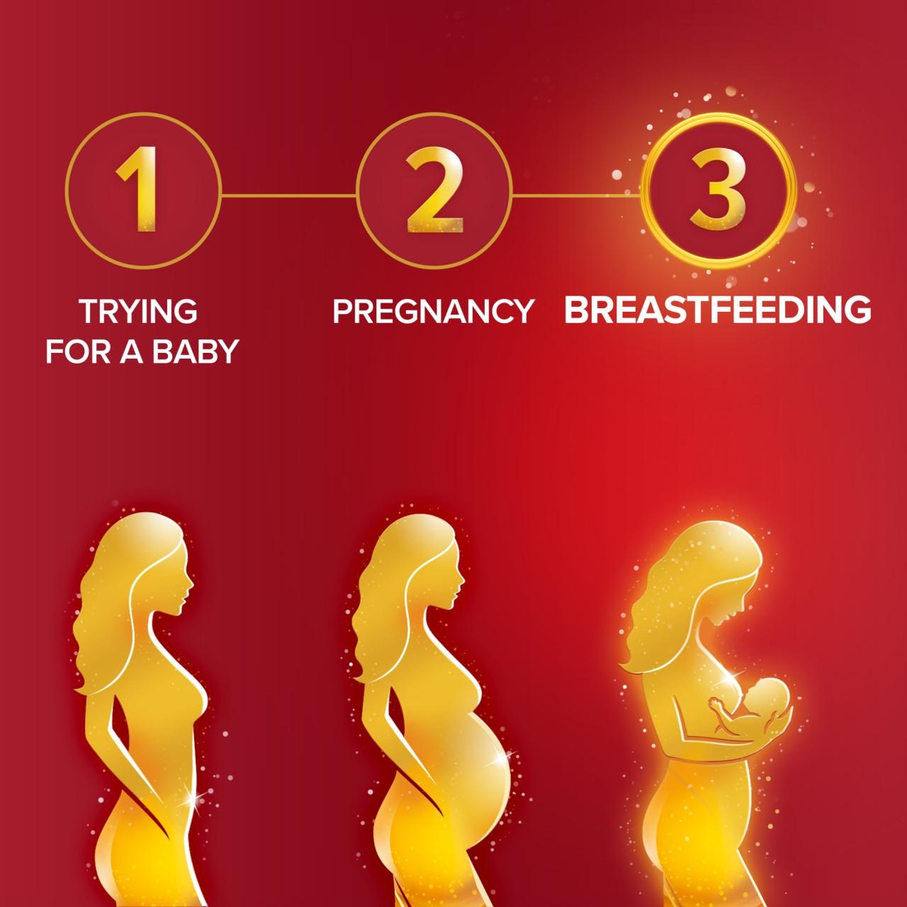 Seven Seas Pregnacy & Breastfeeding 28 Capsules +28 Tablets Image https://cdn11.bigcommerce.com/s-g585yu857h/images/stencil/1280w/products/7487/13071/8700216181631_T63__18018.1782825555.jpg1