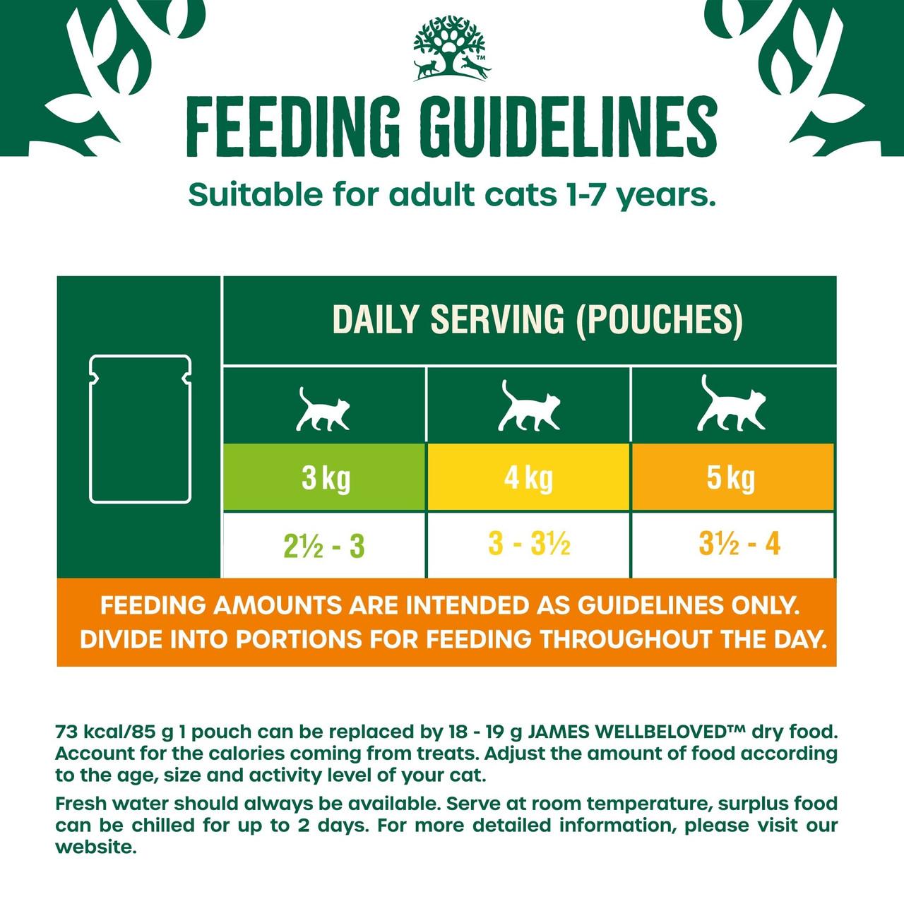James Wellbeloved Grain Free Adult Cat Wet Food Pouch Turkey in Gravy 48x85g Image https://cdn11.bigcommerce.com/s-g585yu857h/images/stencil/1280w/products/8768/15014/James-Wellbeloved-Grain-Free-Adult-Cat-Wet-Food-Pouch-Turkey-in-Gravy-12x85g__31330.1782895105.jpg1