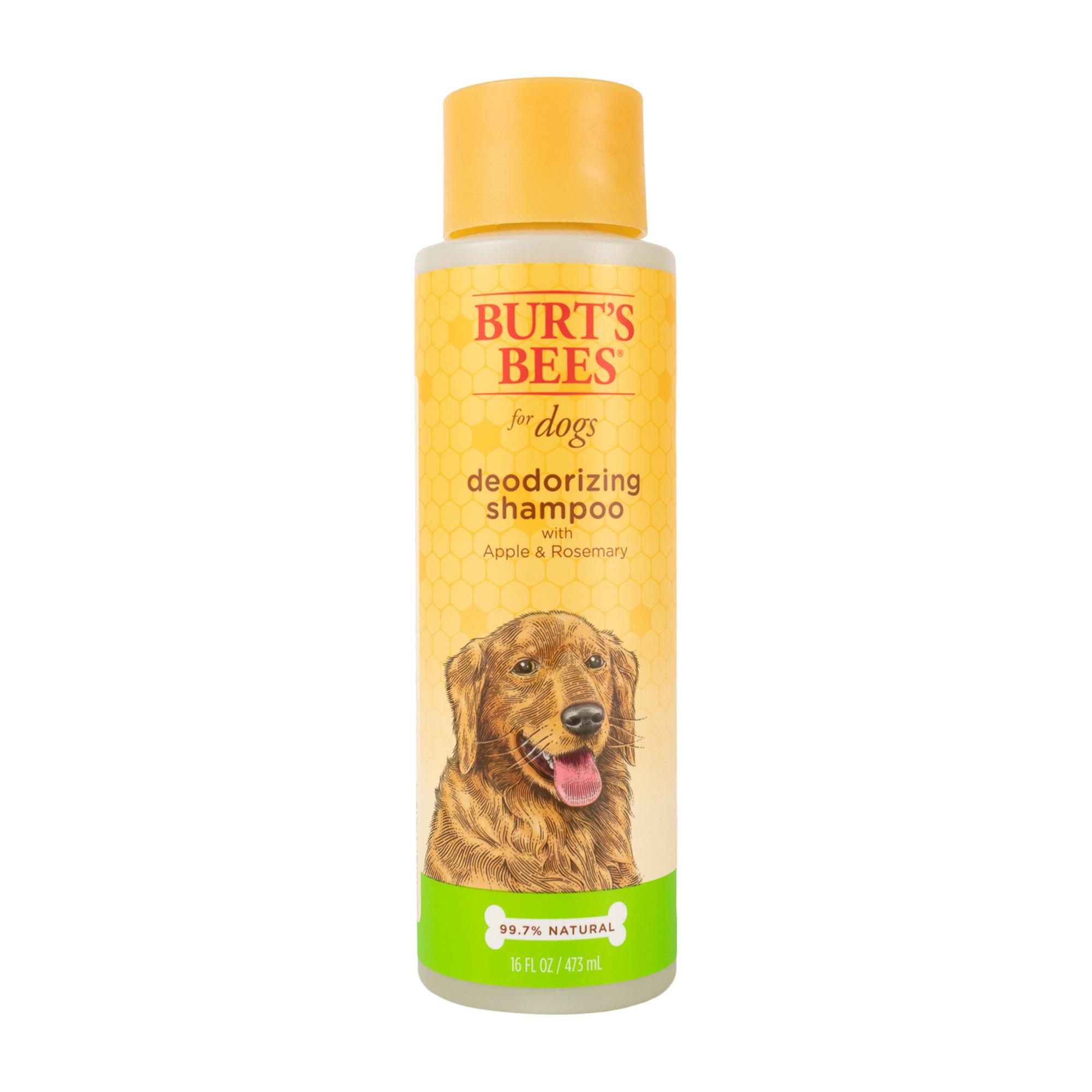 Burt's Bees Deodorizing Shampoo For Dogs 16oz Image 1