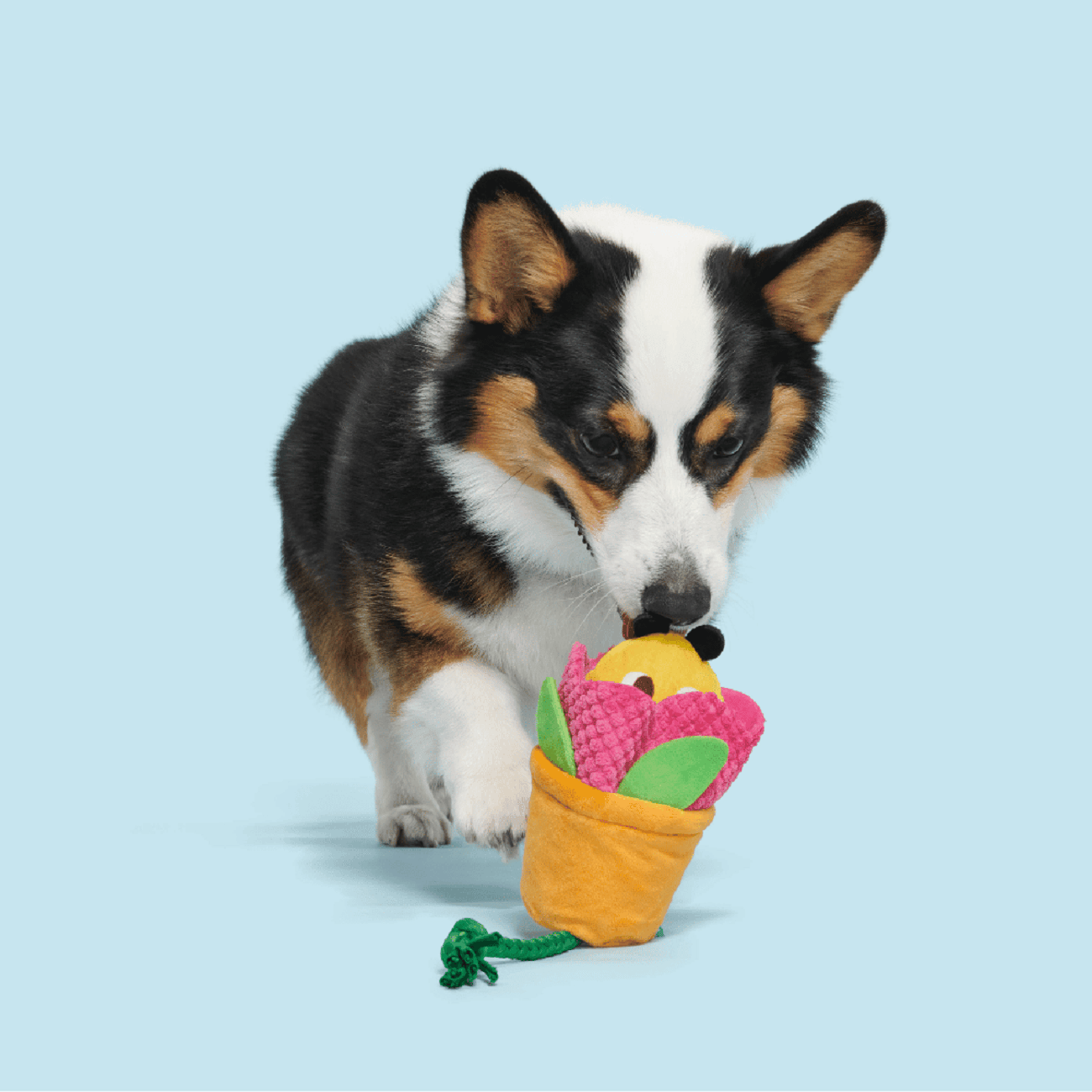 Bark Pollen Nate Dog Toy Image 1