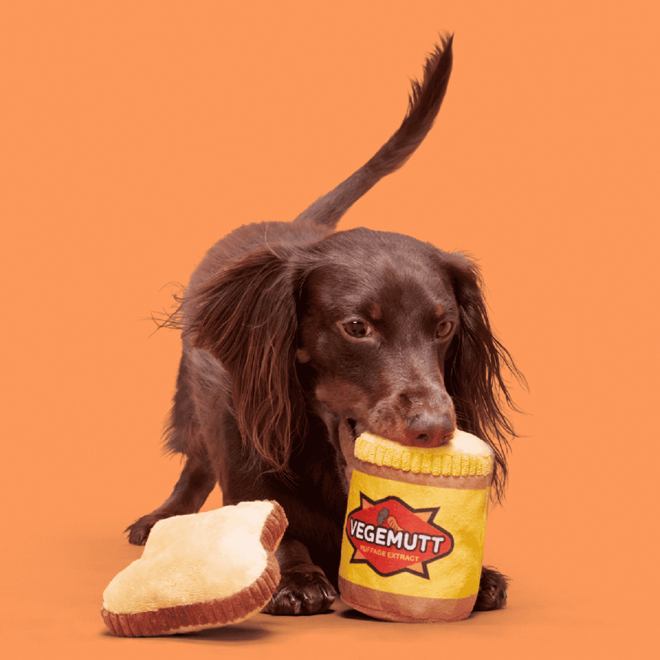 Bark Vegemutt Toast Dog Toy Image 1