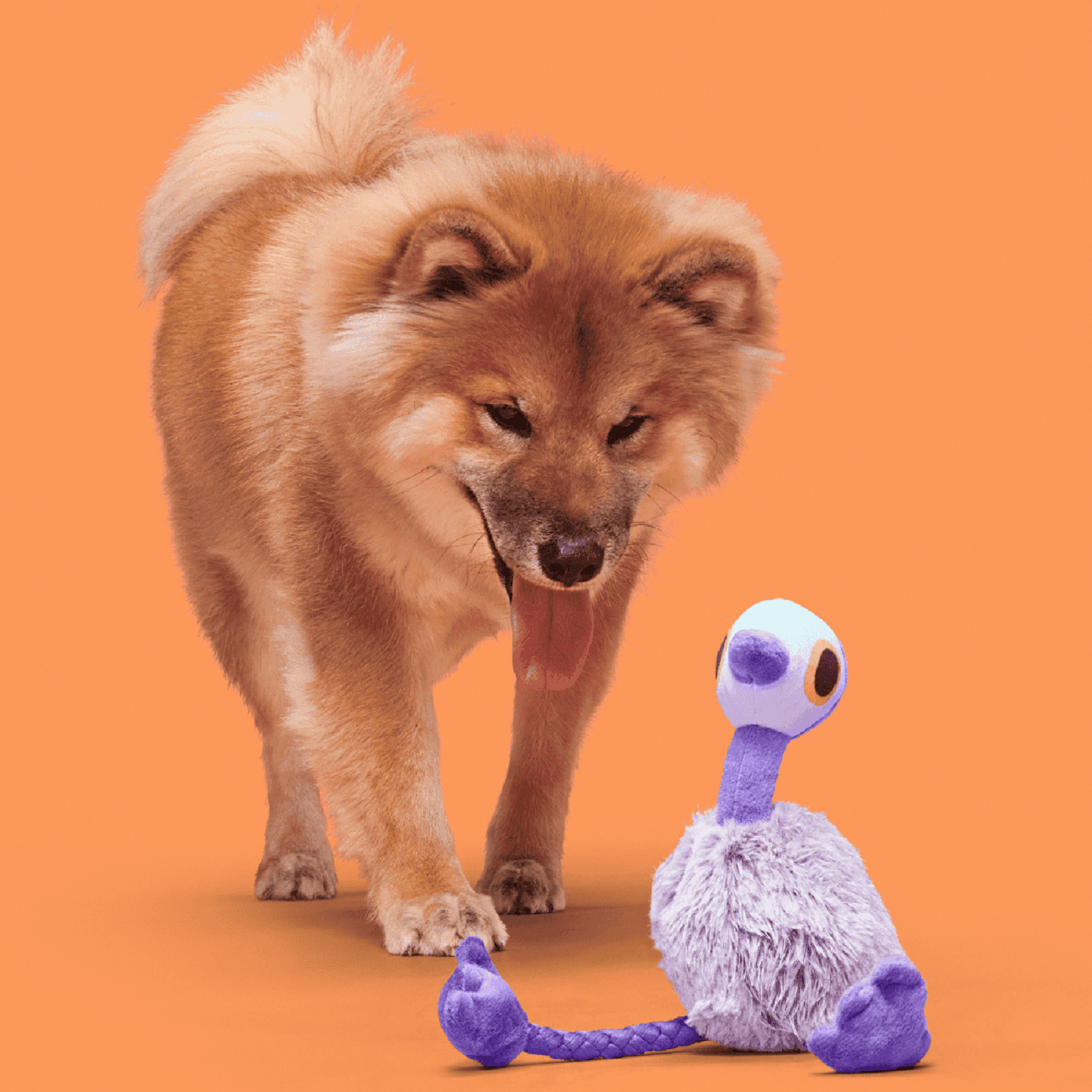 Bark Adelaide Emu Dog Toy Image 1
