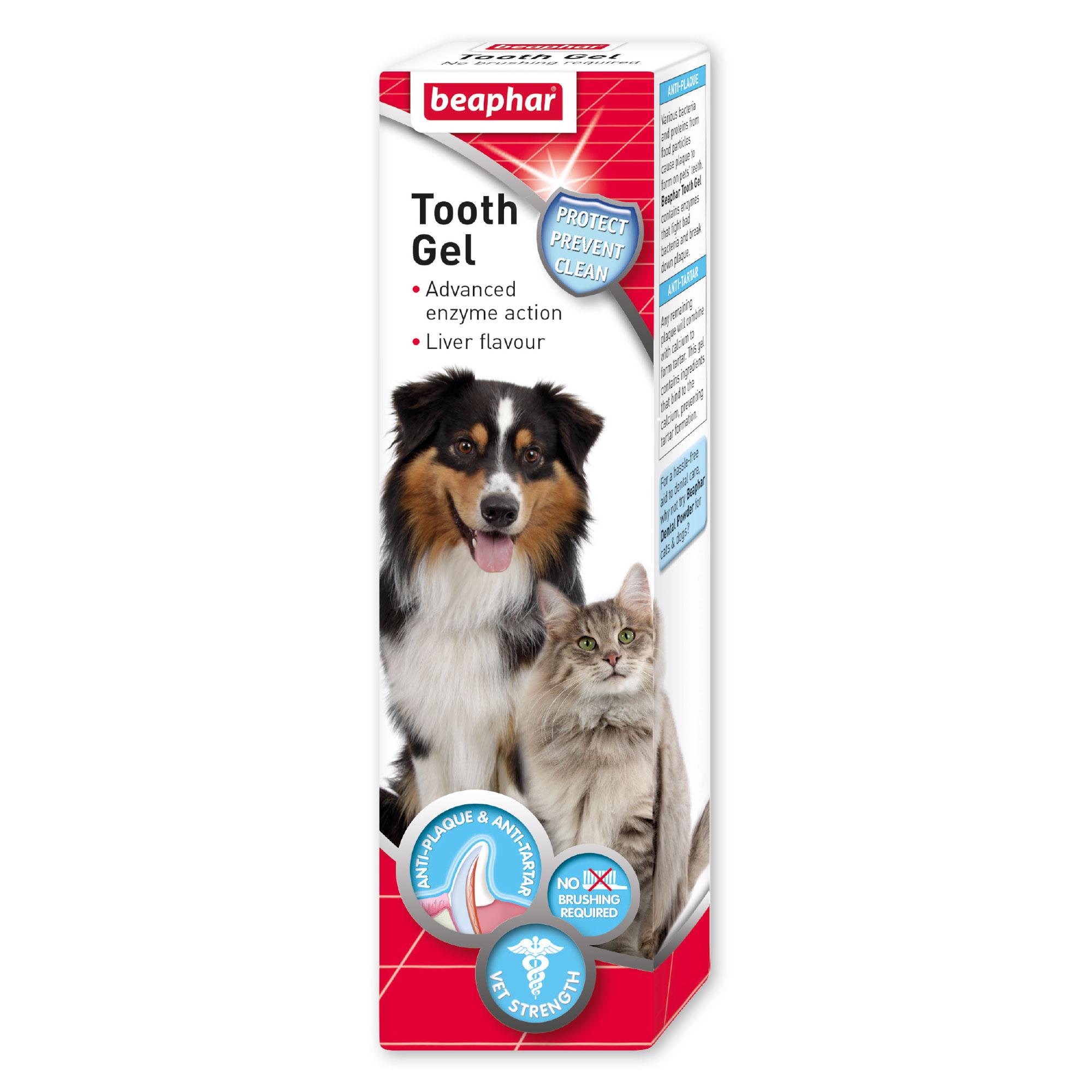 Beaphar Toothgel for Dogs and Cats 100G Image 1