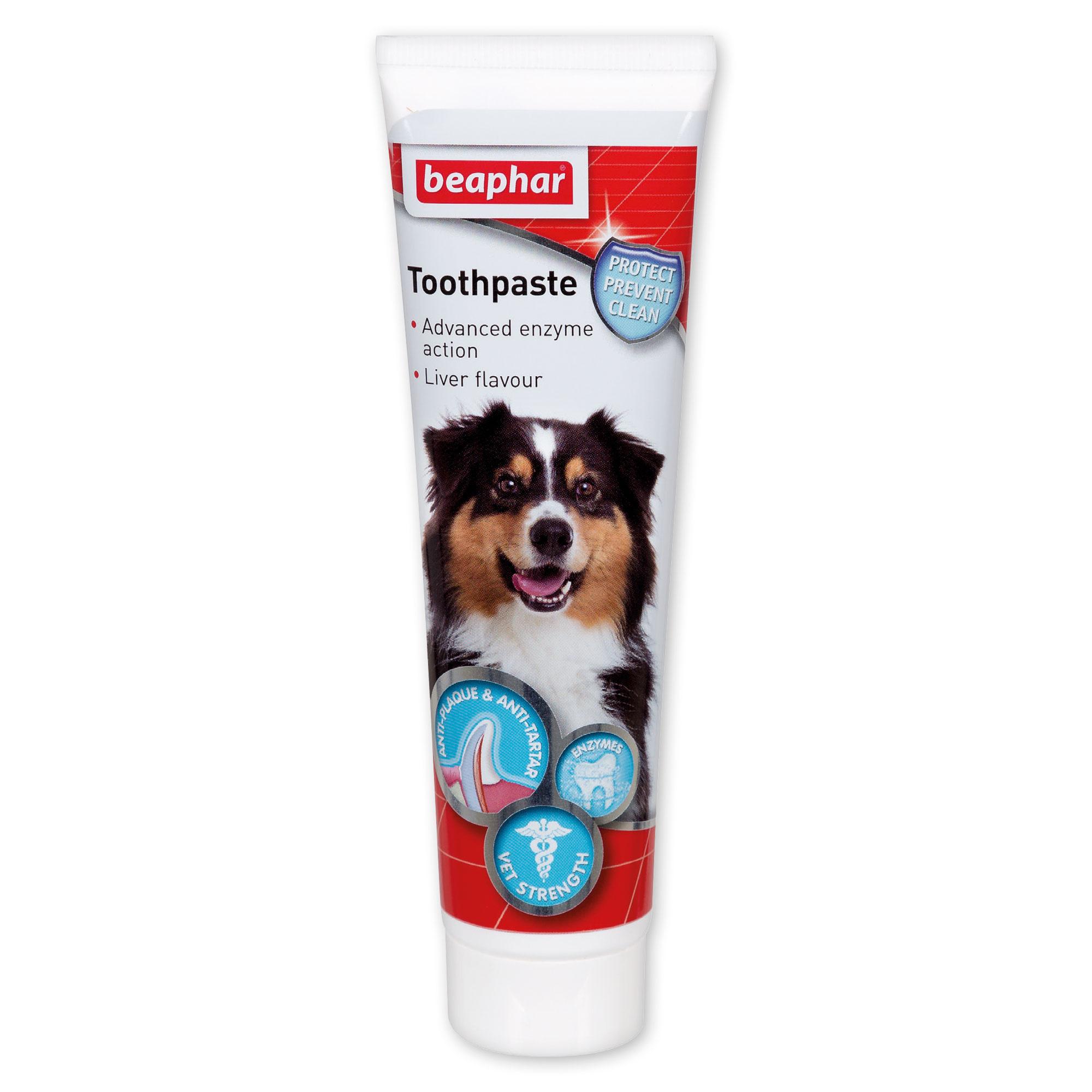 Beaphar Toothpaste for Dogs and Cats 100G Image 1