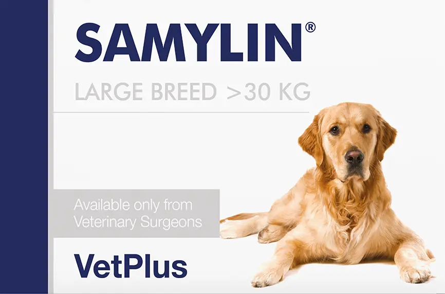 Samylin Tablets for Dogs and Cats Image 1
