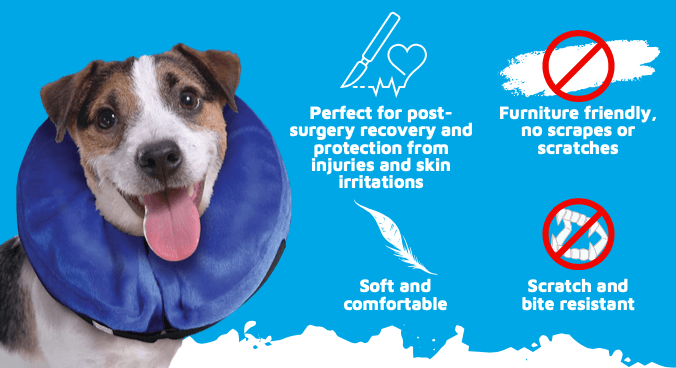 Super Recovery Inflatable Collar for Dogs Image 1
