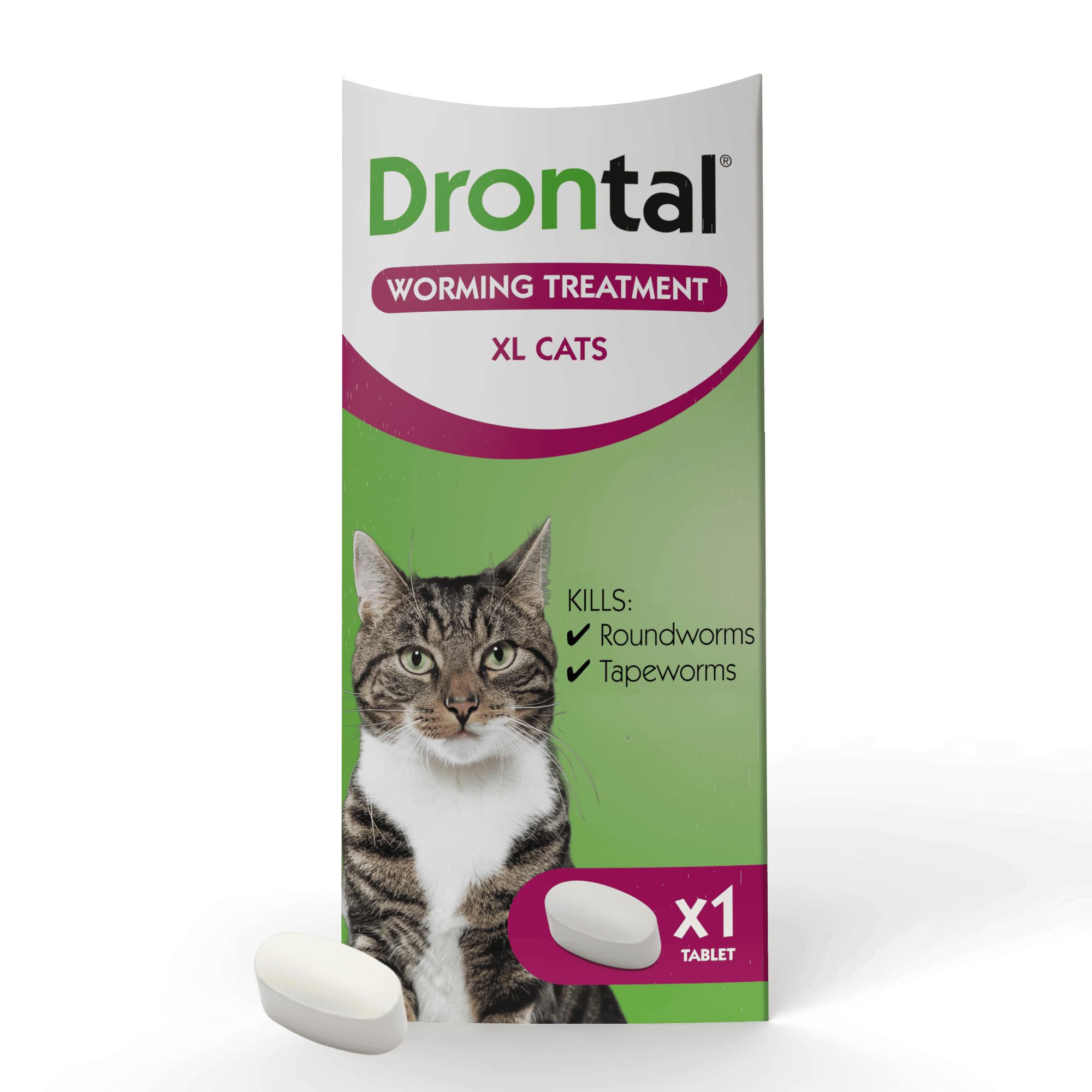Drontal XL Wormer Tablets for Large Cats - Single tablet Image 1