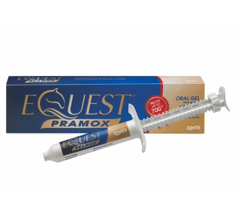 Equest Pramox Horse Wormer Gel - Single syringe Image 1
