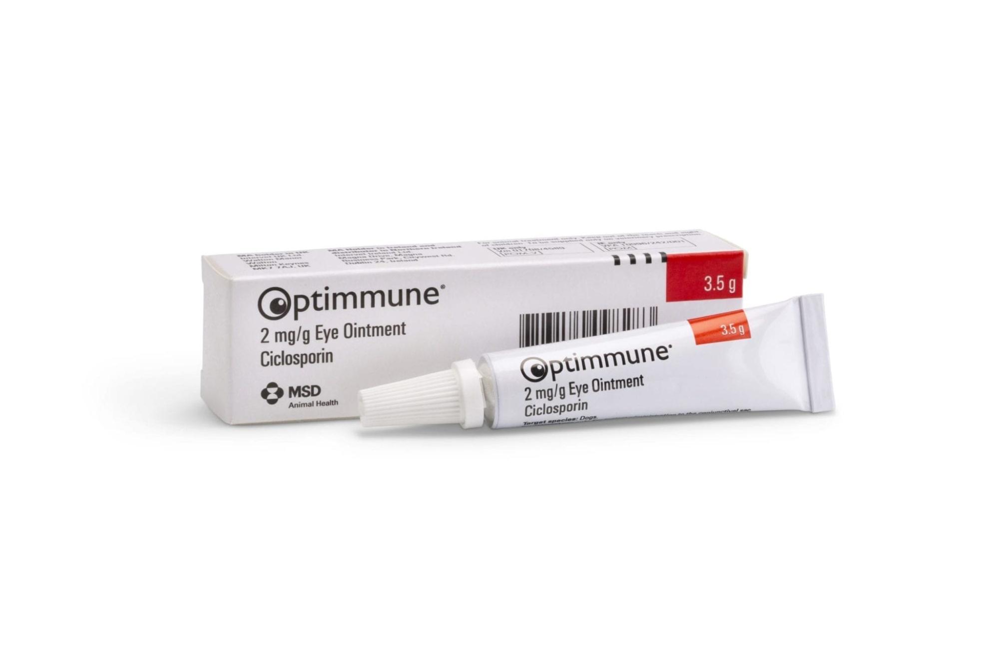 Optimmune Eye Ointment for Dogs - 3.5g Image 1