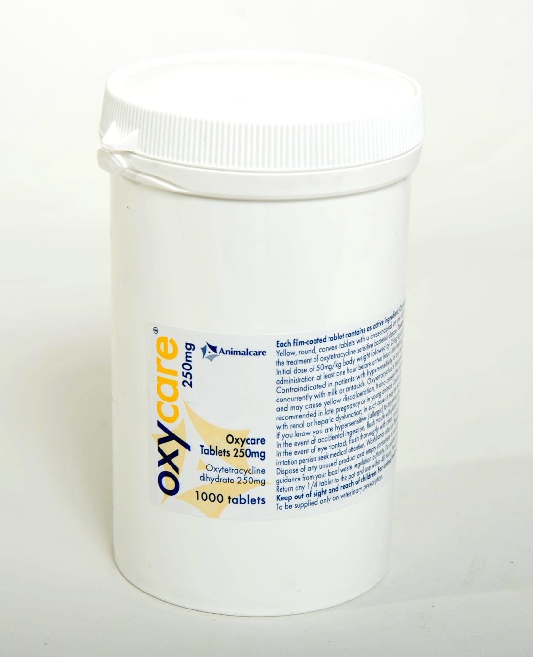 Oxycare 250mg Tablets for Dogs - Single tablet Image 1