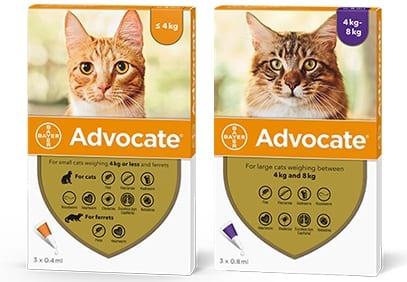 Advocate Spot On Solution for Cats Image 1