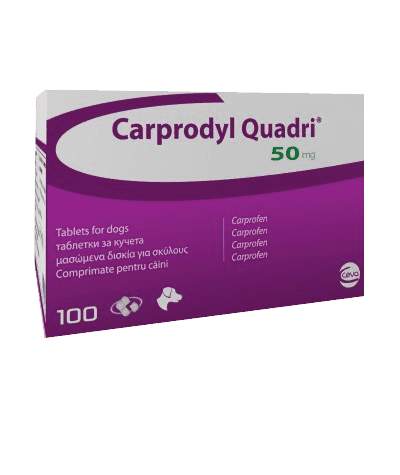 Carprodyl Quadri Tablets for Dogs Image 1