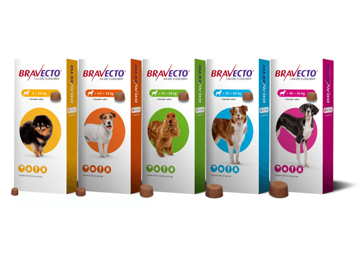 Bravecto Chewable Tablets for Dogs Image 1