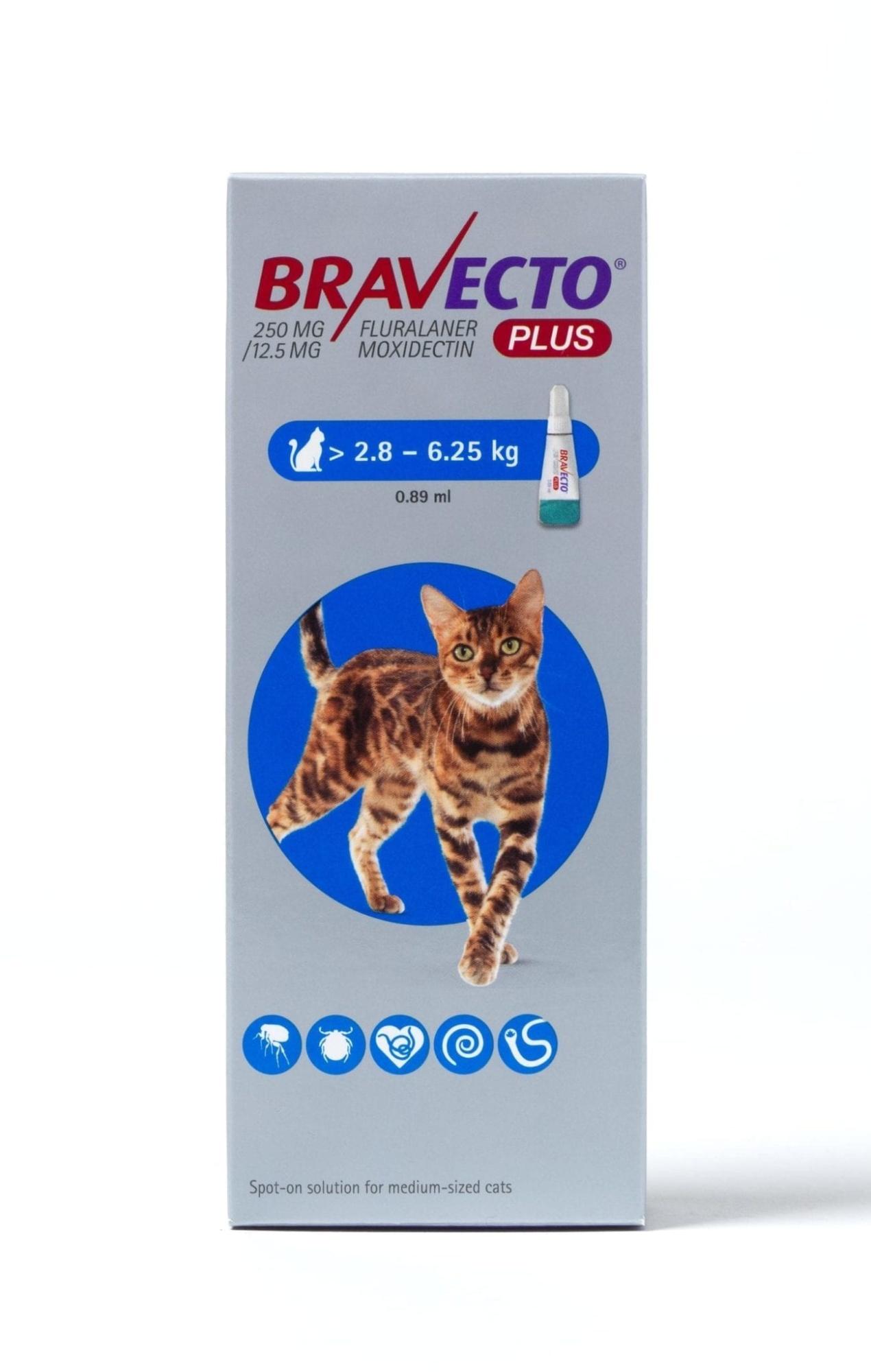 Bravecto Plus Spot On Solution for Cats Image 1