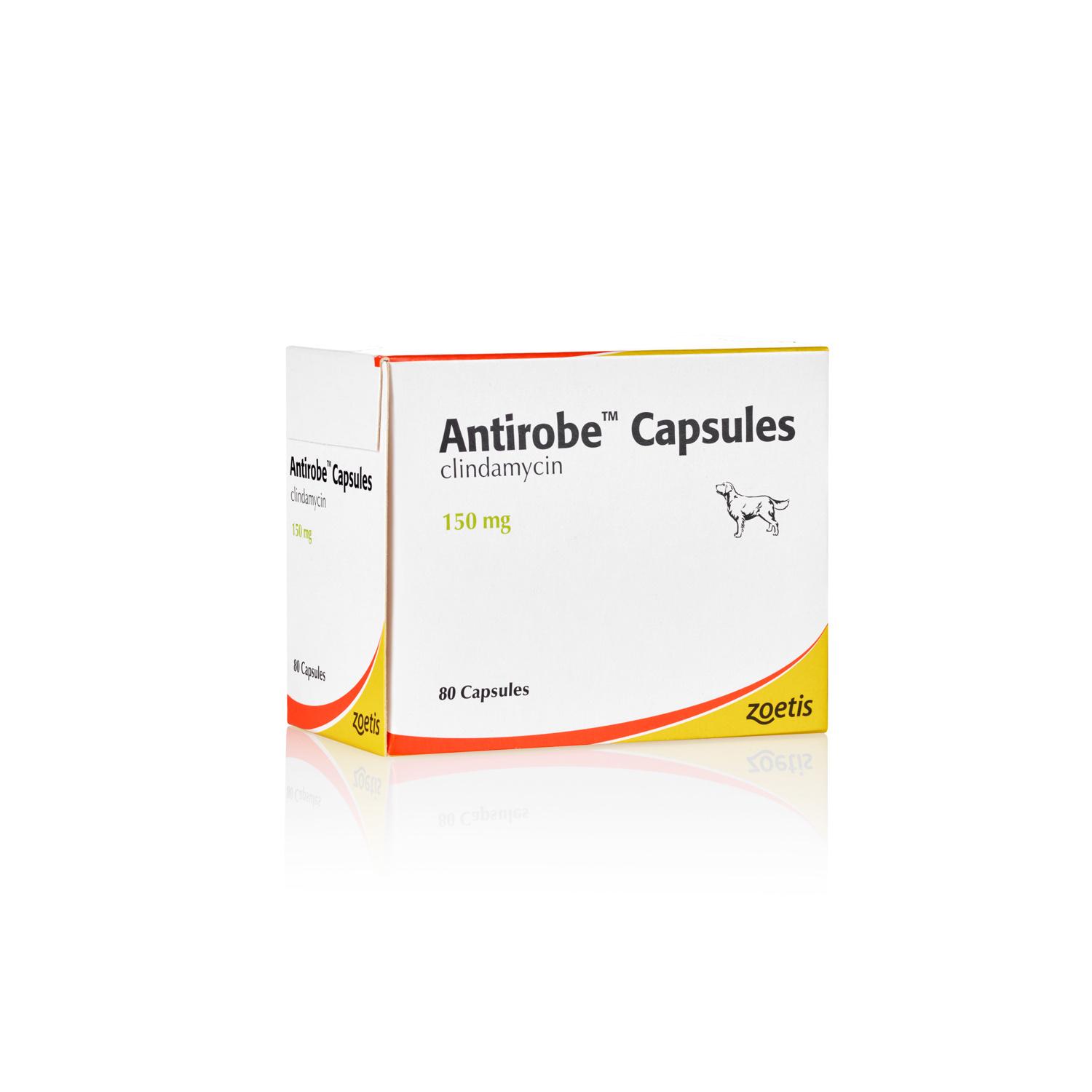 Antirobe Capsules for Dogs and Cats Image 1
