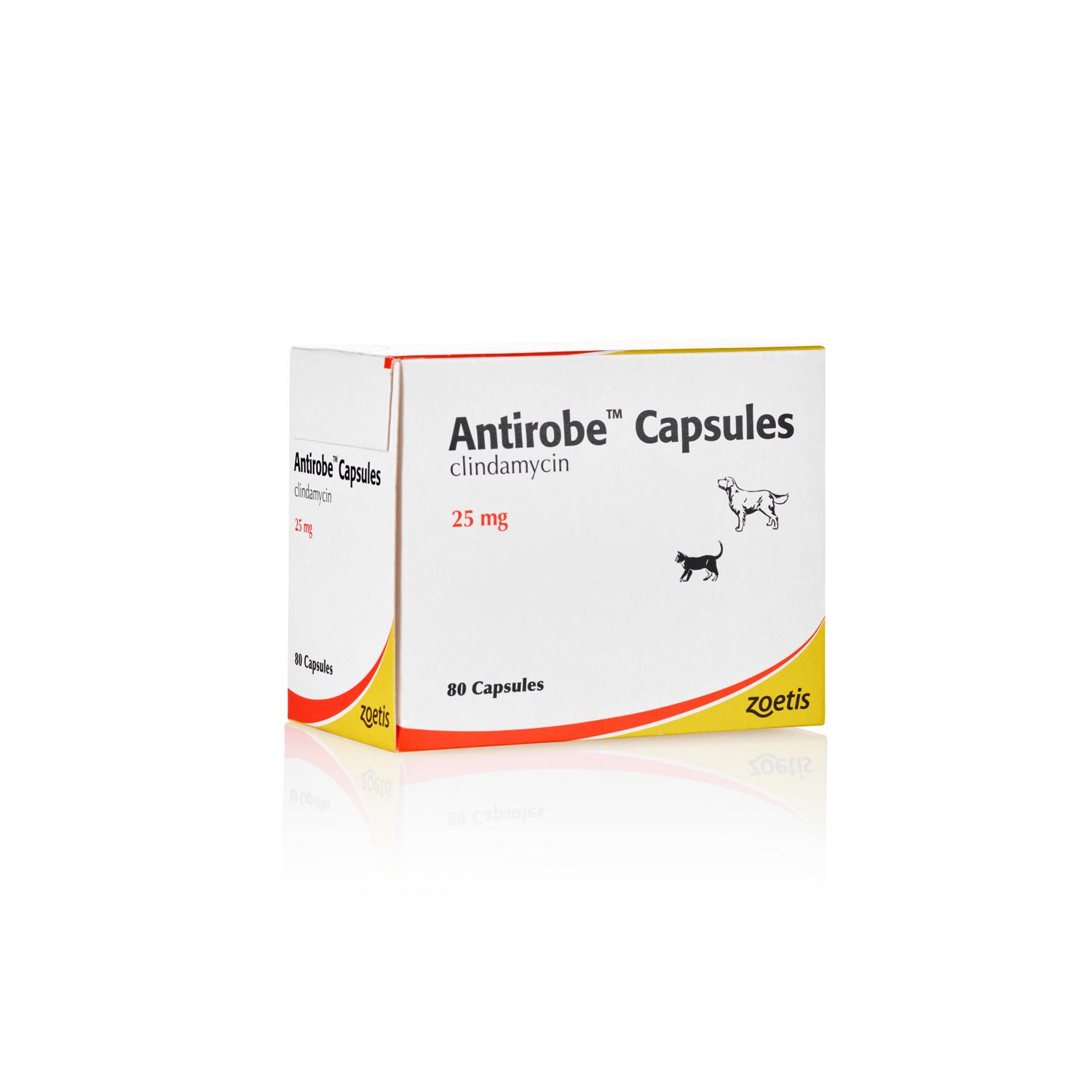Antirobe Capsules for Dogs and Cats Image 1