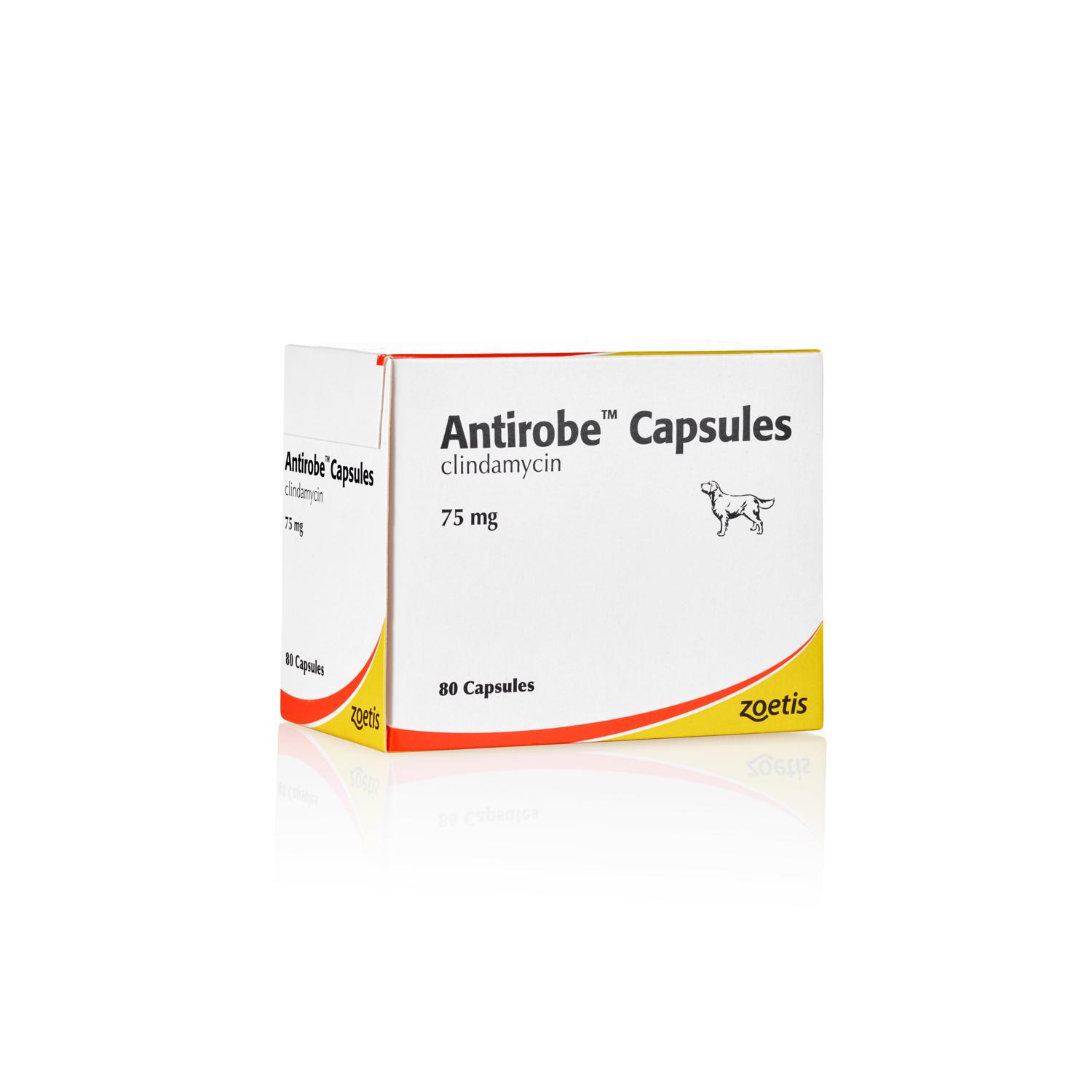Antirobe Capsules for Dogs and Cats Image 1