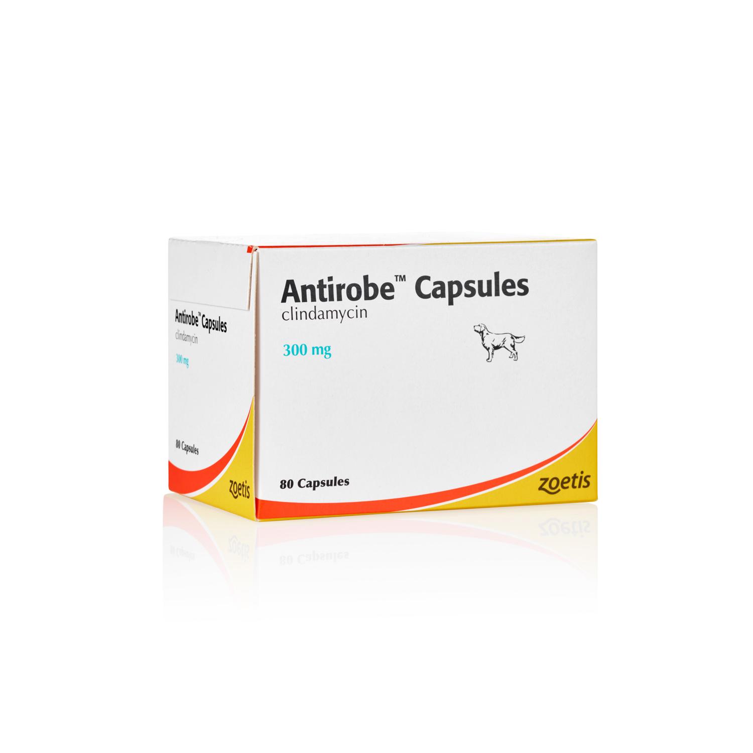 Antirobe Capsules for Dogs and Cats Image 1