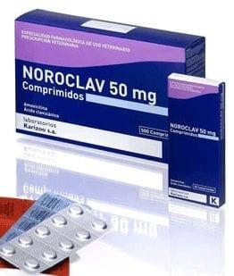 Noroclav Tablets for Dogs and Cats Image 1