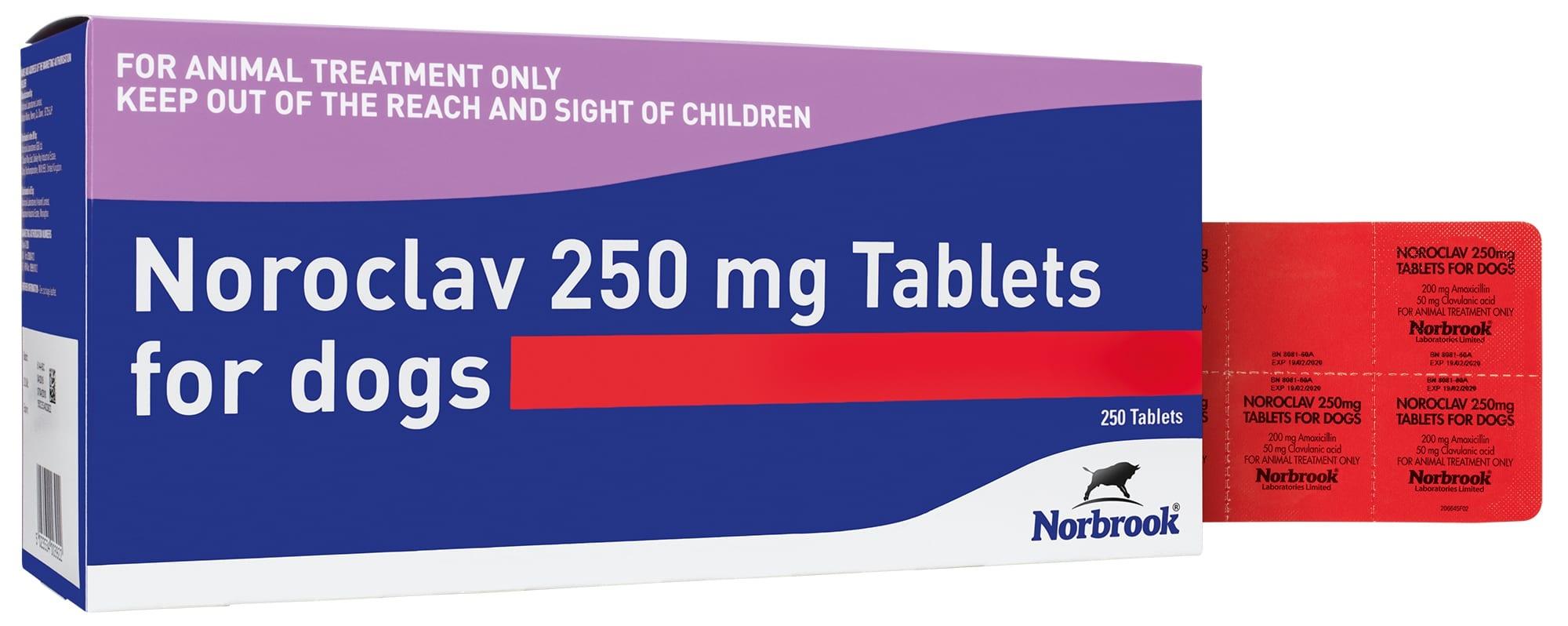 Noroclav Tablets for Dogs and Cats Image 1