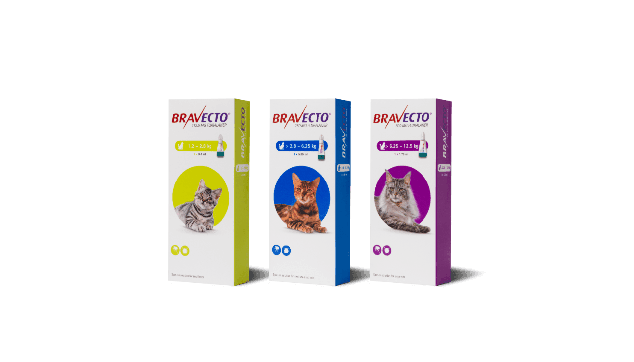 Bravecto Spot On Solution for Cats Image 1