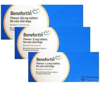 Benefortin Flavour Tablets for Dogs and Cats Image 1