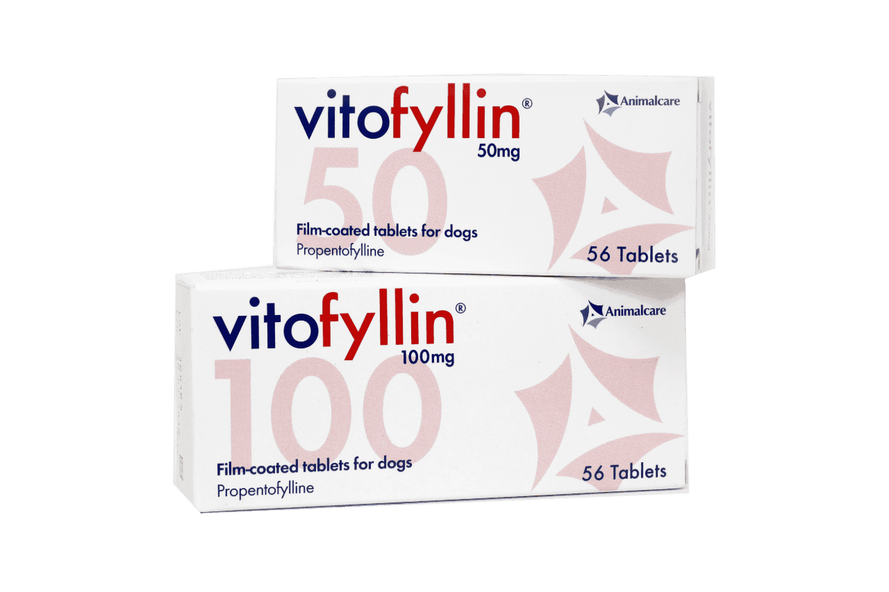 Vitofyllin Tablets for Dogs Image 1