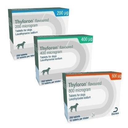 Thyforon Flavour Tablets for Dogs Image 1
